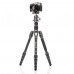 Benro Rhino Carbon Fibre FRHN05C +VX20 Head 5 section